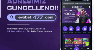 levabet477